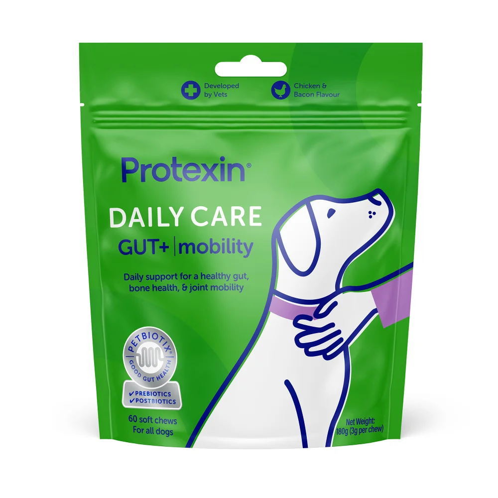 Daily Care Gut+ Mobility - 60 Chews Image 1