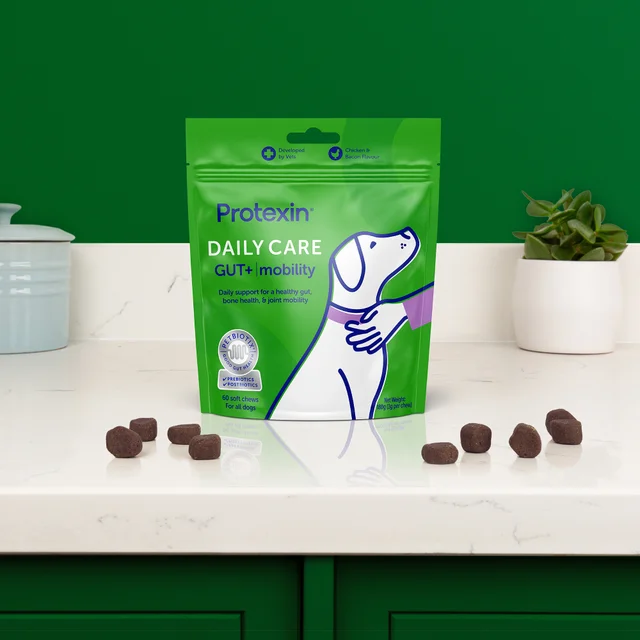 Daily Care Gut+ Mobility - 60 Chews