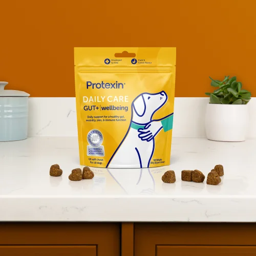 Daily Care Gut+ Wellbeing - 60 Chews Image 2