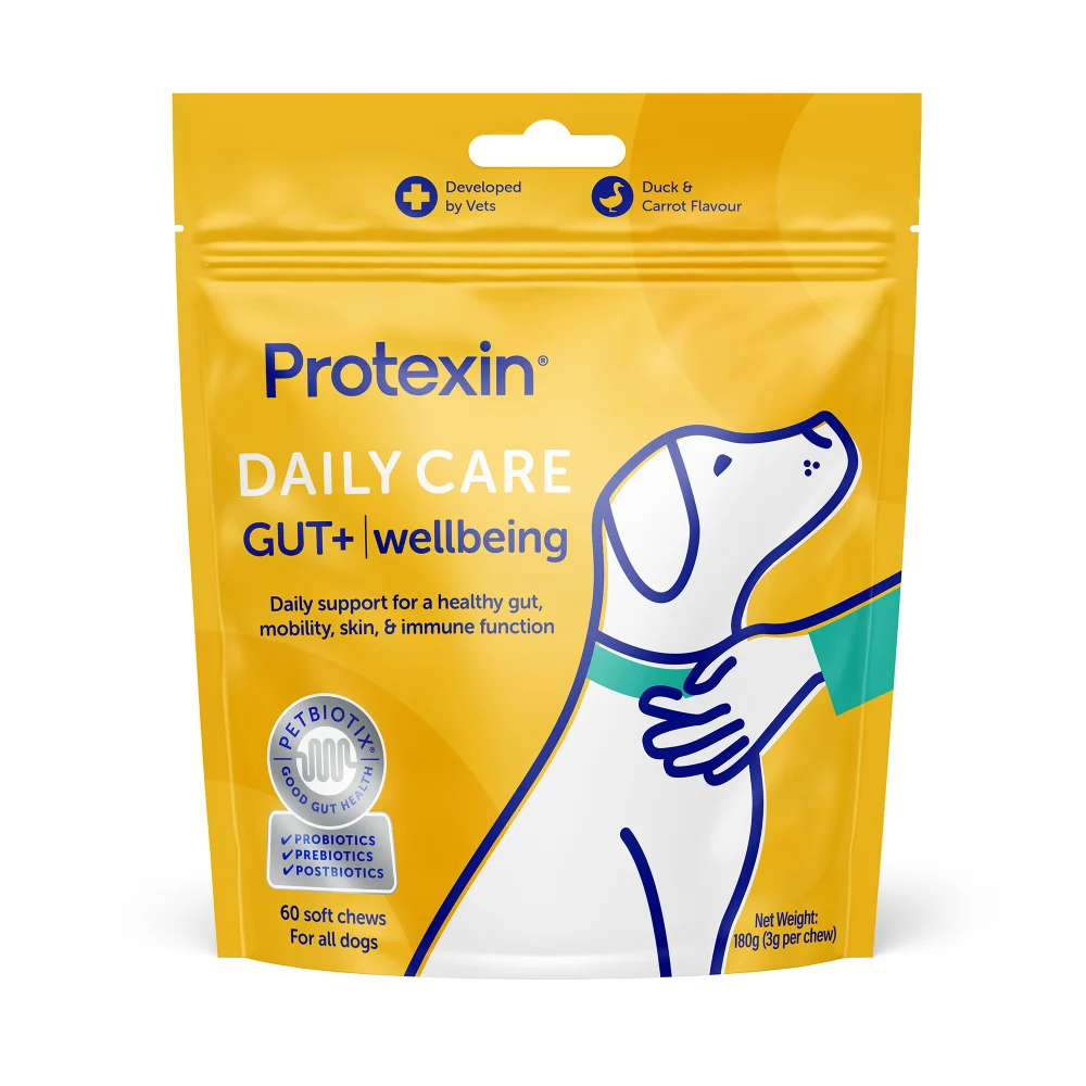 Daily Care Gut+ Wellbeing - 60 Chews Image 1