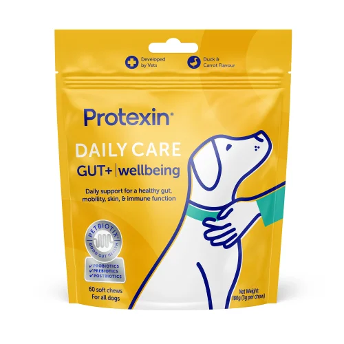 Daily Care Gut+ Wellbeing - 60 Chews Image 1