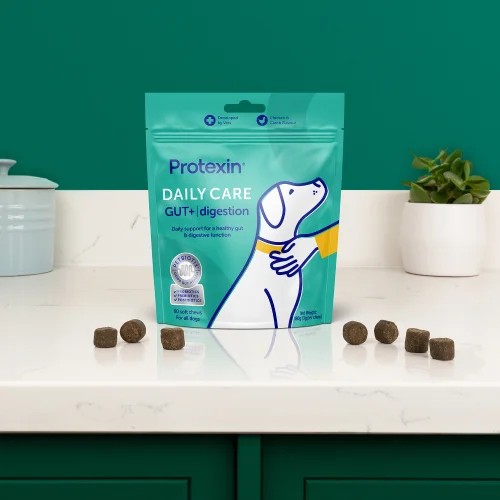 Daily Care Gut+ Digestion - 60 Chews Image 2