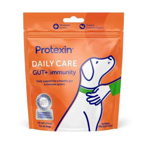 Daily Care Gut+ Immunity - 60 Chews Image 1