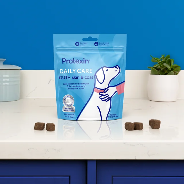 Daily Care Gut+ Skin & Coat - 60 Chews