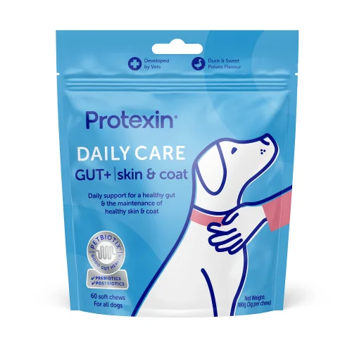 Daily Care Gut+ Skin & Coat - 60 Chews Image 1