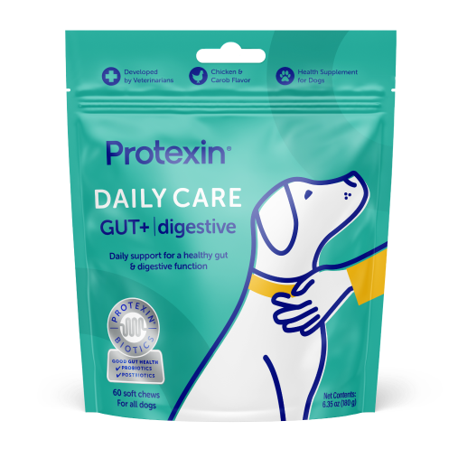 Daily Care Gut+ Digestion Chews for Dogs