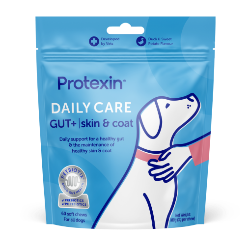 Daily Care Gut+ Skin & Coat Chews for Dogs