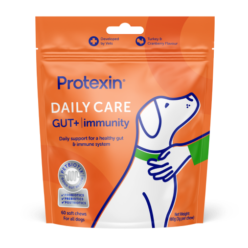 Daily Care Gut+ Immunity Chews for Dogs