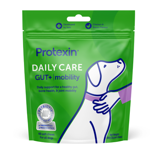 Daily Care Gut+ Mobility Chews for Dogs