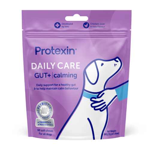 Daily Care Gut+ Calming Chews for Dogs