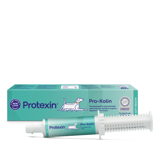 Pro-Kolin Paste for Cats and Dogs