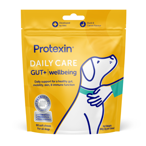 Daily Care Gut+ Wellbeing Chews for Dogs